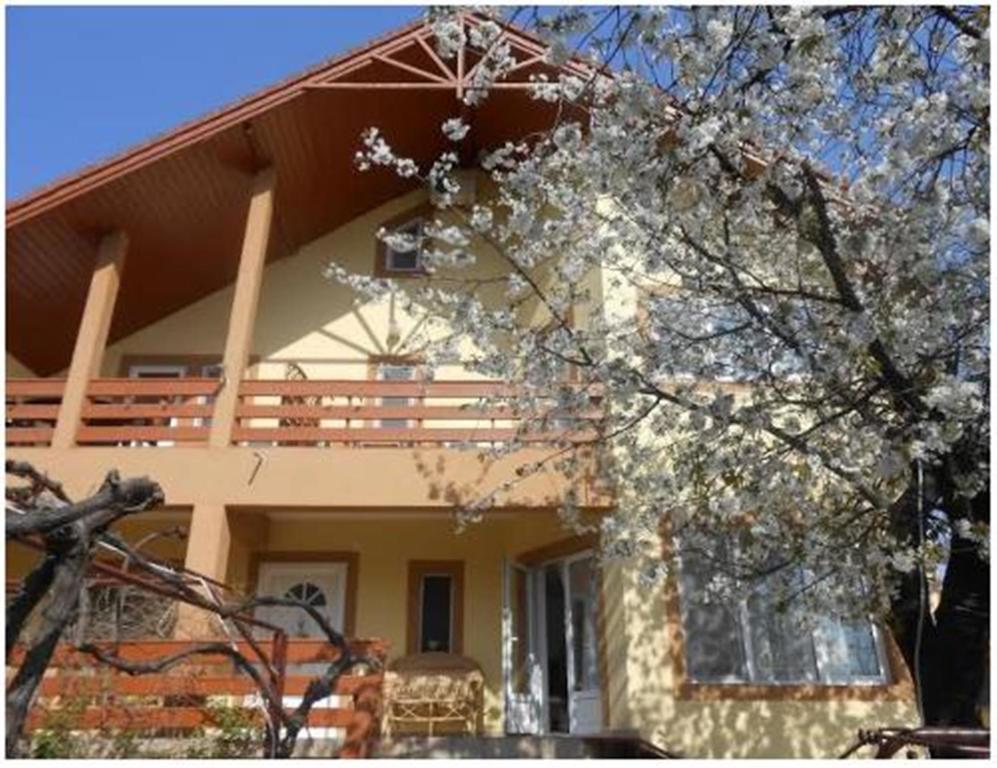 Pensiunea Pentru Tine Prietene Arcani Zimmer foto